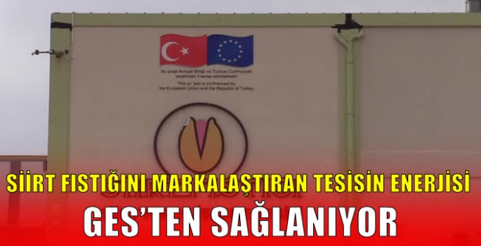 Siirt fıstığını markalaştıran tesisin enerjisi GES'ten sağlanıyor