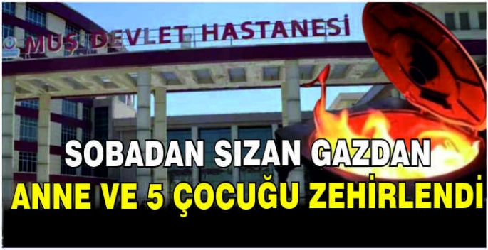 Sobadan sızan gazdan anne ve 5 çocuğu zehirlendi