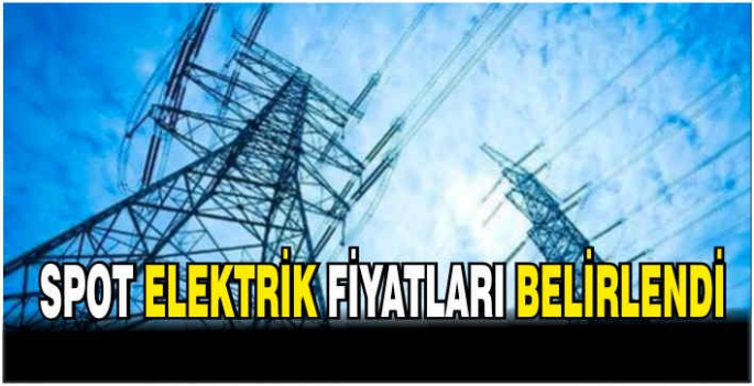 Spot elektrik fiyatları belirlendi