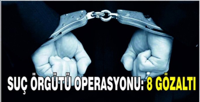 Suç örgütü operasyonu: 8 gözaltı