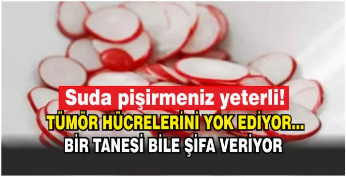 Suda pişirmeniz yeterli! Tümör hücrelerini yok ediyor... Bir tanesi bile şifa veriyor