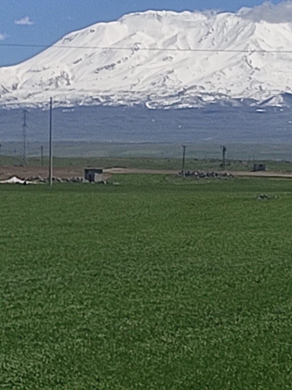 Süphan dağı yeniden beyaza büründü