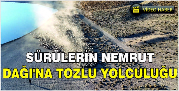 Sürülerin Nemrut Dağı'na tozlu yolculuğu