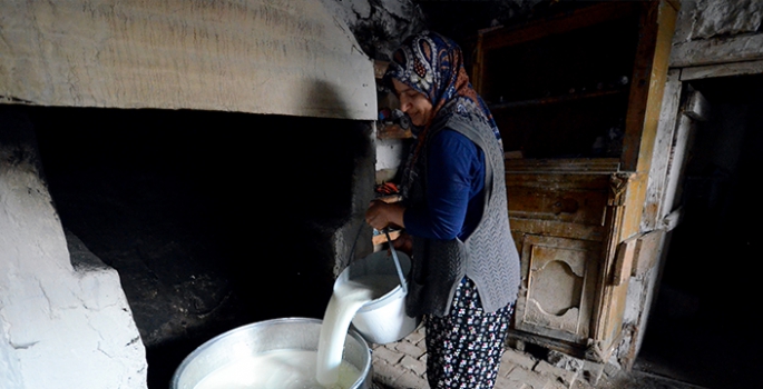 Süt üretiminin arttığı Kars'ta kadınların çeçil peyniri telaşı başladı