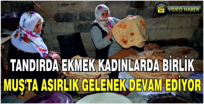 Tandırda ekmek kadınlarda birlik: Muş'ta asırlık gelenek devam ediyor