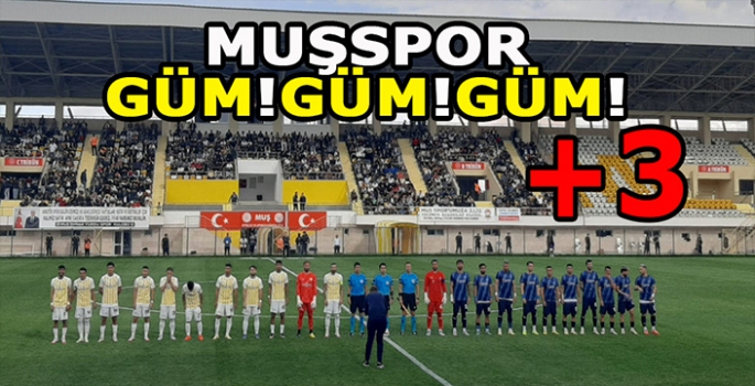 Taraftarıyla namağlup devam: Muşspor sahasında kazanmayı bildi!