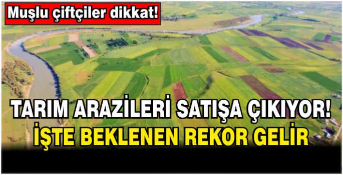 Tarım arazileri satışa çıkıyor! İşte beklenen rekor gelir