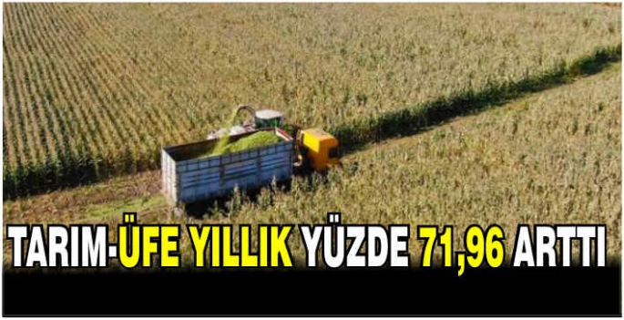 Tarım-ÜFE yıllık yüzde 71,96 arttı