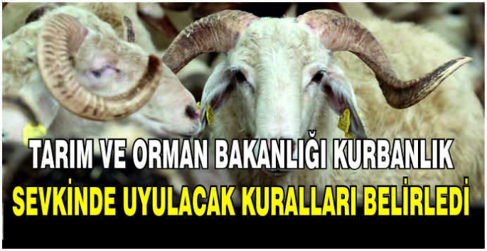 Tarım ve Orman Bakanlığı, kurbanlık sevkinde uyulacak kuralları belirledi