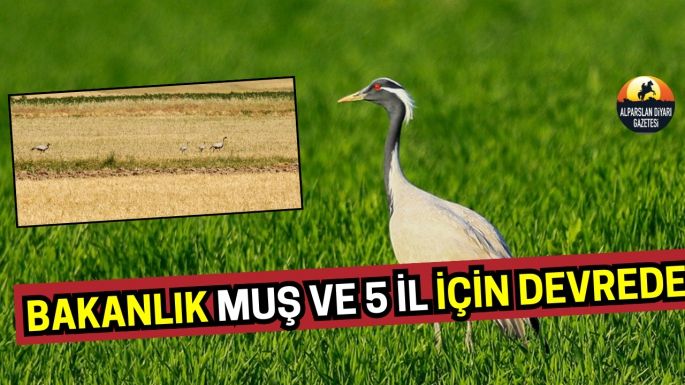 Tarım ve Orman Bakanlığı Muş ve 5 il için harekete geçti!