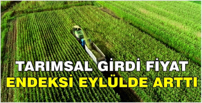 Tarımsal girdi fiyat endeksi eylülde arttı