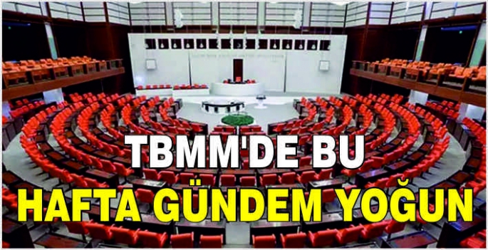 TBMM'de bu hafta gündem yoğun