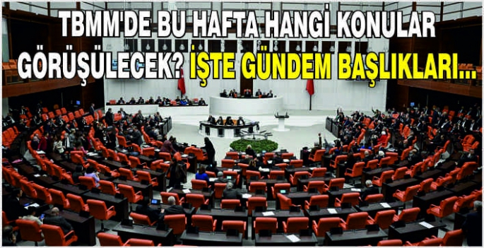 TBMM'de bu hafta hangi konular görüşülecek? İşte gündem başlıkları...