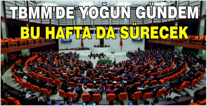 TBMM'de yoğun gündem bu hafta da sürecek