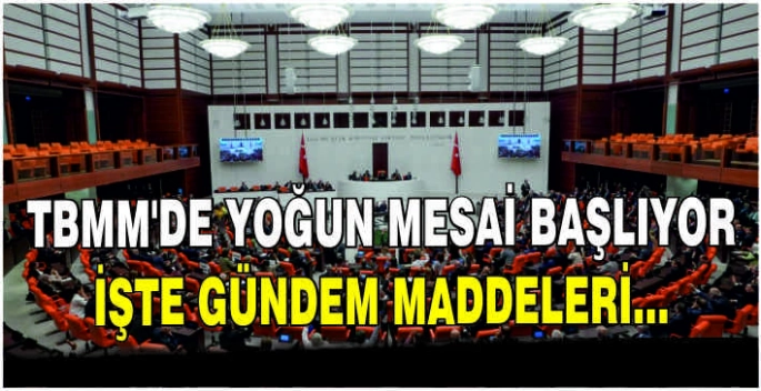 TBMM'de yoğun mesai başlıyor: İşte gündem maddeleri...