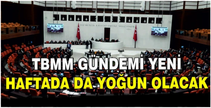 TBMM gündemi yeni haftada da yoğun olacak