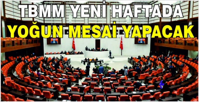 TBMM yeni haftada yoğun mesai yapacak