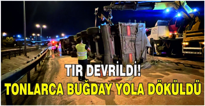 Tır devrildi! Tonlarca buğday yola döküldü