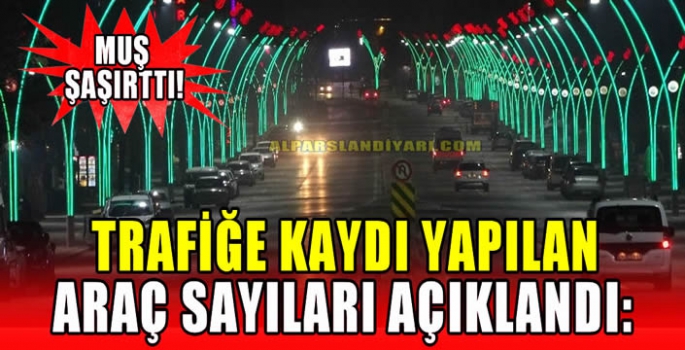 Trafiğe kaydı yapılan araç sayıları açıklandı: Muş şaşırttı...