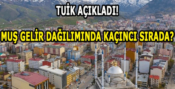   (TÜİK) açıkladı: Dikkat çeken detay!  Muş gelir dağılımında kaçıncı sırada? 