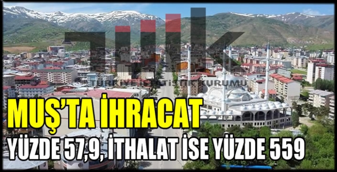 TUİK açıkladı: Muş’ta ihracat yüzde 57,9, ithalat ise yüzde 559 