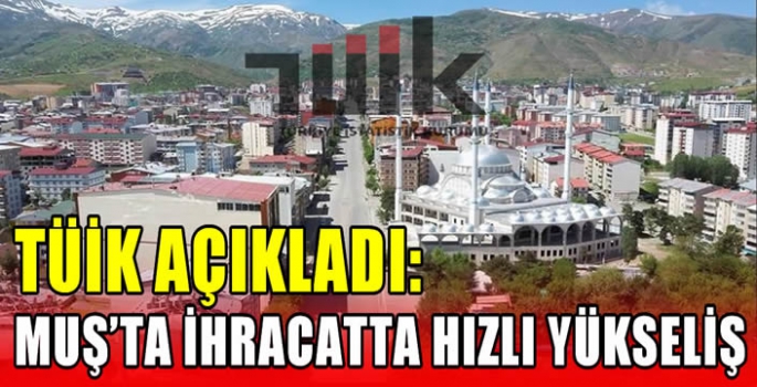 TÜİK açıkladı: Muş’ta ihracatta hızlı yükseliş! 