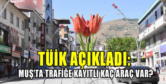 TÜİK açıkladı: Muş’ta trafiğe kayıtlı kaç araç var? 