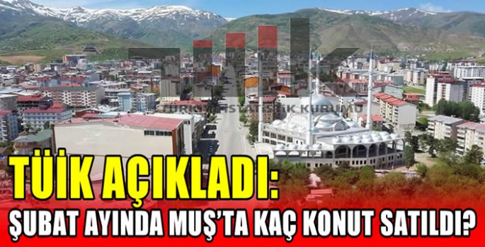 TÜİK açıkladı: Şubat ayında Muş’ta kaç konut satıldı? 