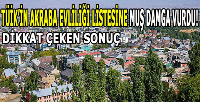 TÜİK’in akraba evliliği listesine Muş damga vurdu: Dikkat çeken sonuç belli oldu!