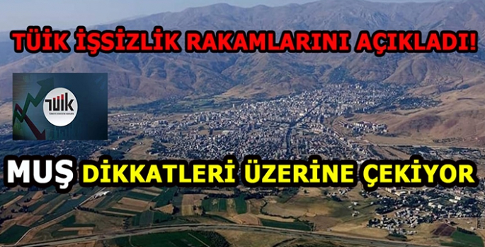 TÜİK işsizlik rakamlarını açıkladı: Muş’un sırası dikkatleri çekiyor