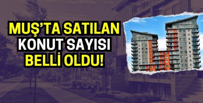 TÜİK verileri açıklandı! Muş’ta satılan konut sayısı belli oldu