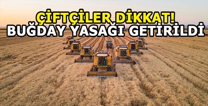 Tüm çiftçiler dikkat: Buğday yasağı getirildi