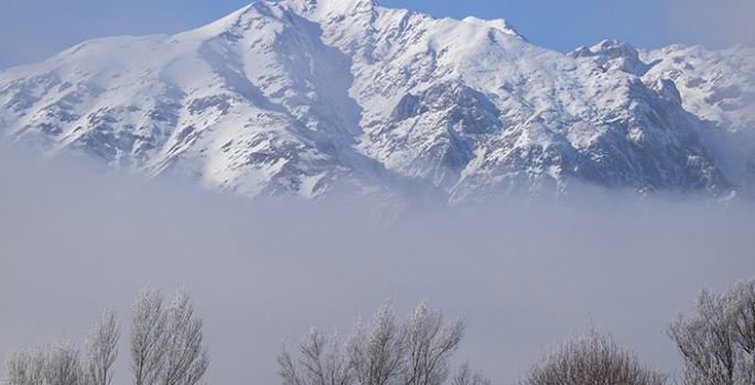 Tunceli'de dağları sis, ovalardaki ağaç ve bitkileri ise kırağı kapladı