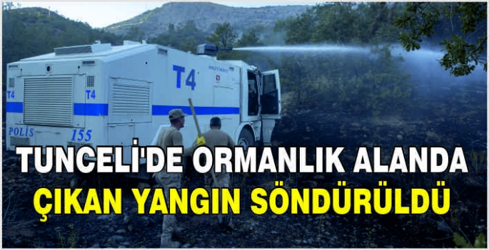 Tunceli'de ormanlık alanda çıkan yangın söndürüldü