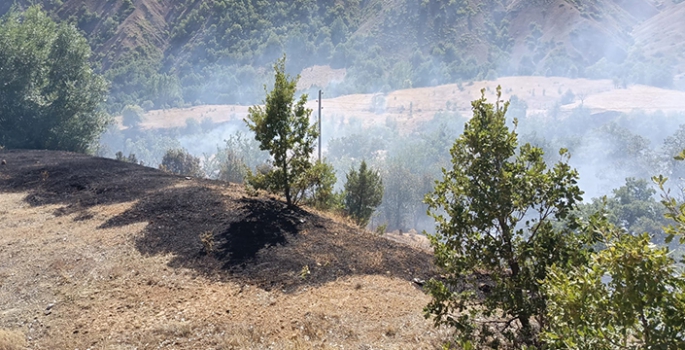 Tunceli'de ormanlık alanda çıkan yangına müdahale ediliyor