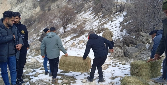 Tunceli'de üniversite öğrencileri yaban hayvanları için doğaya yem bıraktı