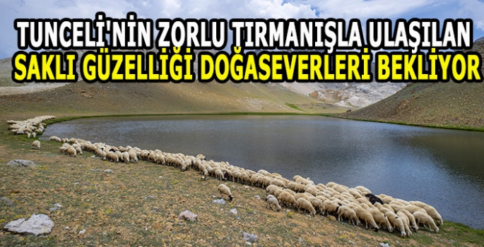 Tunceli'nin zorlu tırmanışla ulaşılan saklı güzelliği doğaseverleri bekliyor 