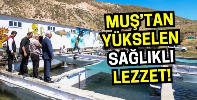 Türkiye bu lezzetin peşinde: Sadece Malazgirt ve Varto’da bulunuyor!