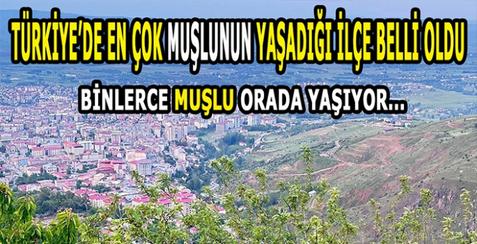 Türkiye’de en çok Muşlunun yaşadığı ilçe belli oldu: O ilçede binlerce Muşlu var