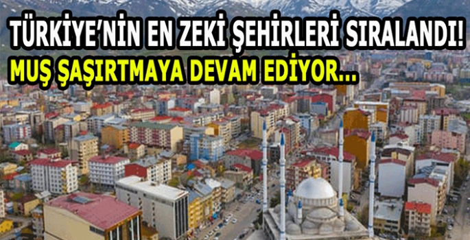 Türkiye'nin en zeki şehirleri sıralandı! Muş şaşırttı