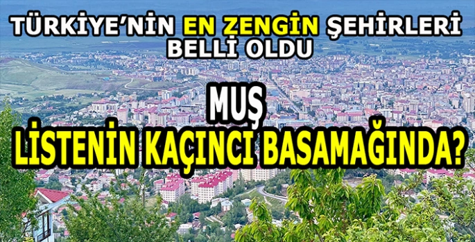 Türkiye'nin en zengin illeri belli oldu: Muş sıralamanın kaçıncı basamağında?