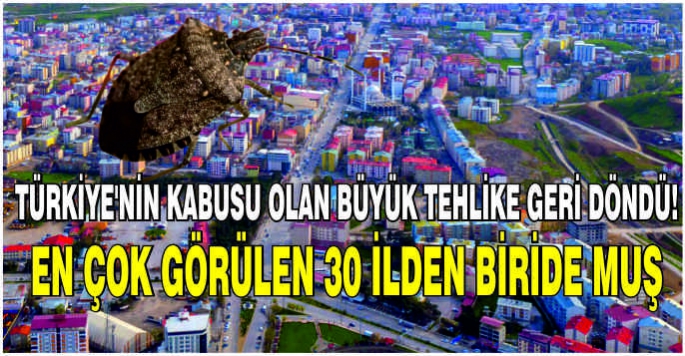 Türkiye'nin kabusu olan büyük tehlike geri dündü: En çok görülen 30 ilden biride Muş