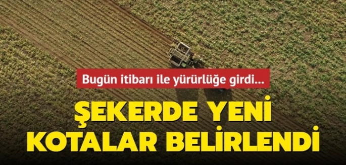 Türkiye şeker sektöründe yeni kotalar belirlend