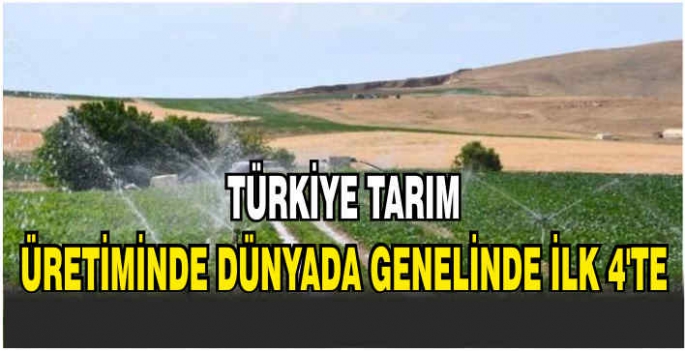 Türkiye tarım üretiminde dünyada genelinde ilk 4'te