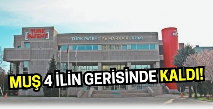 TÜRKPATENT verileri belli oldu: Muş 4 ilin gerisinde kaldı!