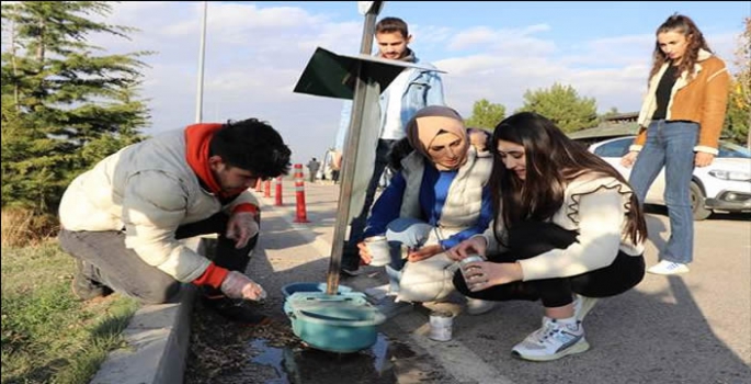 Üniversite öğrencileri hayvanlar için belirli noktalara mama bıraktı