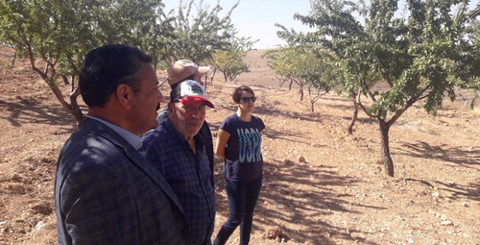 Üreticiler kayısı bahçelerini koruma konusunda bilgilendirildi 