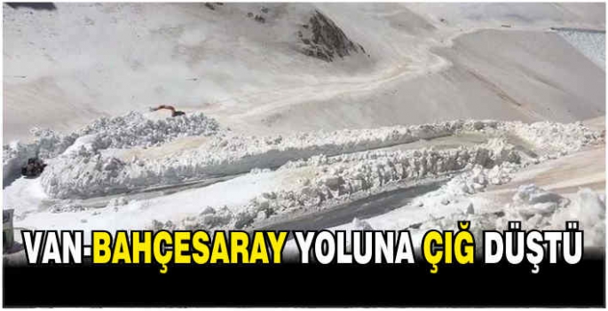 Van-Bahçesaray yoluna çığ düştü