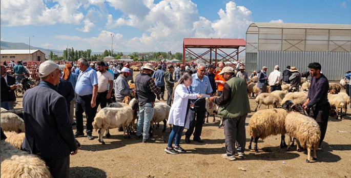 Van Büyükşehir Belediyesi ekipleri hayvan pazarında vatandaşarı bilgilendirdi