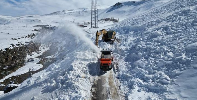 Van'da çığ nedeniyle kapanan mezra yolu açıldı